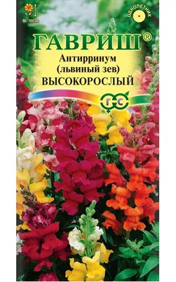 Семена львиный зев Гавриш Высокорослый 1896 1 уп. - отзывы покупателей на  Мегамаркет