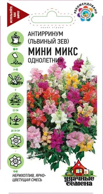 Семена цветов Антирринум (Львиный зев) \"Карликовый\", смесь, 0,05 г (id  107894039), купить в Казахстане, цена на Satu.kz