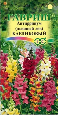 Случай Цветов Львиный зев \"Кимоси\", оранжевый, карликовый, 0,05 г 2 упак. -  купить по выгодным ценам в интернет-магазине OZON (894540371)