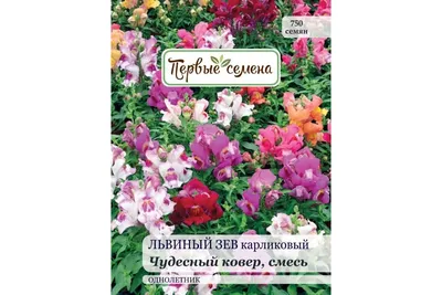 Гавриш Деревья, кустарники, цветы - купить по выгодным ценам в  интернет-магазине OZON (1032619281)