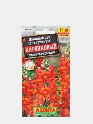 Купить львиный зев карликовый чудесный ковер, смесь (опт) по цене 18,72  руб. в интернет магазине \"Первые Семена\"