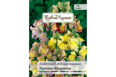 Львиный зев (Антирринум) карликовый Твинни желтый с прожилками Antirrhinum  majus Twinny yellow shades - купить семена цветов с доставкой по Украине в  магазине Добродар