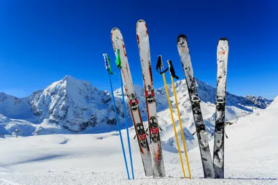 Виды лыж: беговые и горные лыжи