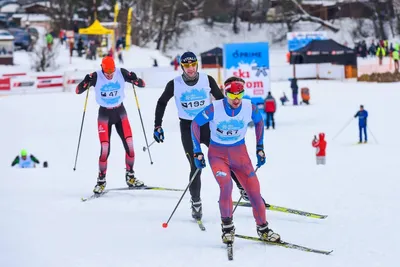 Лучшие лыжи сезона 2018-19 по мнению gearpatrol.com