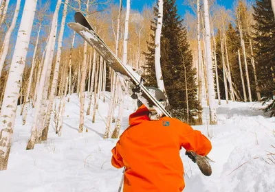 Купить лыжи в Иркутске по минимальной цене с быстрой доставкой