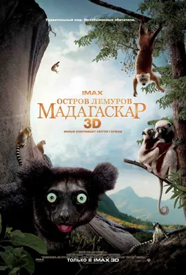 Мадагаскар, региональное издание, DVD - купить с доставкой по выгодным  ценам в интернет-магазине OZON (801309789)