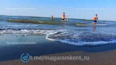 И разБАЗАРивает земли… Магарамкентский район попал под жернова прокуратуры  Дагестана - РИА Дербент