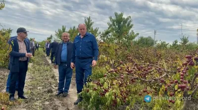 Глава Дагестана осмотрел новый детский сад в Магарамкентском районе -  Республиканские новости - Газета \"Дербентские новости\"