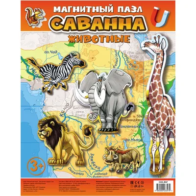 Магнитный пазл Карта мира - Игротайм
