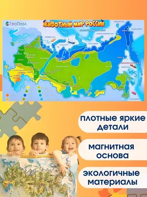 Магнитный пазл фантазер \"Забавные лица\" — Каталог — Toyskingdom.ru -  магазин игрушек