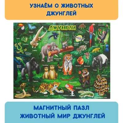 TOPBRIGHT. Географическая Карта Мира для детей Магнитный пазл