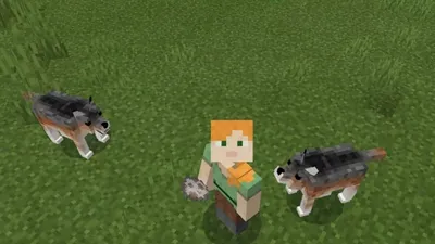 Дом для собаки в Minecraft. Как же круто выглядит! #видеоигры #игры #games  #game #геймер #gaming #мемы #ps4 #videogames #геймеры… | Instagram