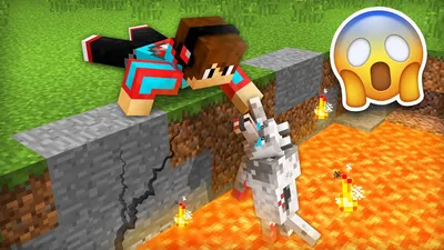 More Dogs [1.14.4] [1.13.2] [1.12.2] / Текстуры для Майнкрафт / Minecraft  Inside