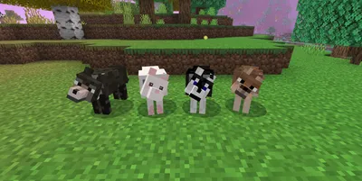 Год собаки | minecraft-art