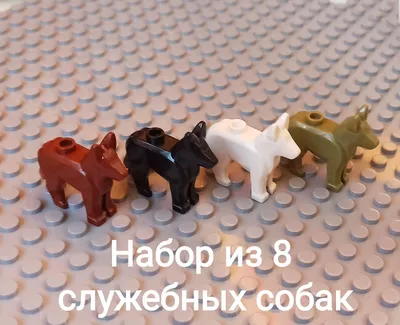 Как приручить волка (собаку) в Майнкрафте: полный гайд