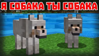 Скачать Текстуры Собаки для Майнкрафт на Телефон: Текстуры Dogs