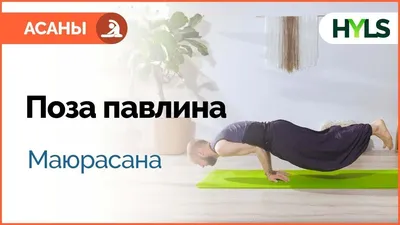 Pincha mayurasana Стоковые фотографии, картинки, все без лицензионных  отчислений - Envato Elements