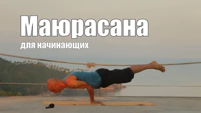 Balance yoga - Пинча маюрасана — «Поза хвоста павлина» — один из основных  силовых балансиров хатха-йоги, представляющий собой стойку на предплечьях.  Это довольно сложная асана, осваивать которую стоит начинать тем, кто уже