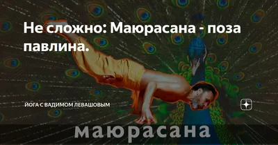 Пинча Маюрасана (стойка на предплечьях) Важные моменты‼️ ✔️сильные руки;  ✔️крепкий мышечный корсет; ✔️хорошая подвижность плечевых… | Instagram