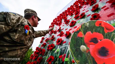 Мак в разных гранях: загрузите несколько форматов изображения