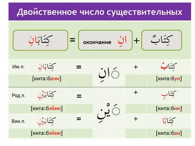 Арабский алфавит и его буквы