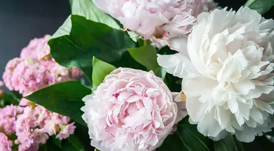 Купить Искусственные цветы 1 куст \"Махровые пионы розовые\", 6 голов, 30 см,  для декора по выгодной цене в интернет-магазине OZON.ru (1064355211)