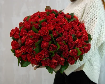 Картинка Махровые розы » Розы картинки (255 фото) - Картинки 24 » Картинки  24 - скачать картинки бесплатно