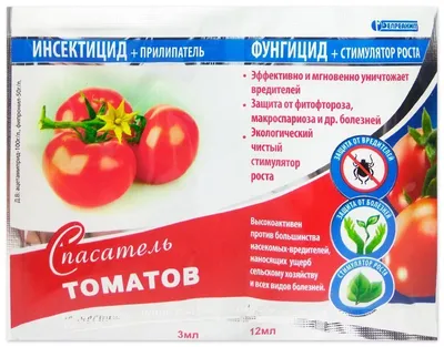 Как выращивать помидоры и томаты в теплице и открытом грунте: лучшие сорта  для выращивания, секреты получения небывалого большого урожая с огорода -  Ортон