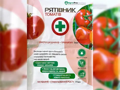 Семена томата «Green Pear»(Зелёная груша), серия «От автора» - 100 семян  купить недорого в интернет-магазине семян OGOROD.ua