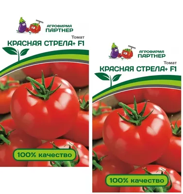 Сорт томатов Бычье сердце: выращивание и уход в теплице и открытом грунте