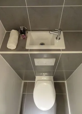 Раковина над унитазом в маленьком туалете: 70 фото