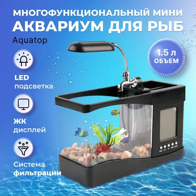 Маленькие тропические аквариумные рыбки живут долго хвост Данио Крыло  бабочки свет Флуоресцентные рыбки данио красный Зебра Групповой тур