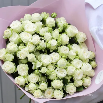 Белые кустовые розы \"Peonia\" 50 см Купить по выгодной цене в Краснодаре.  Интернет-магазин Ванилла