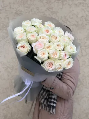 Белые розы фото -
