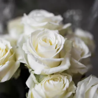 Резинки для волос маленькие белые розы для малышек (размер S) — купить в  интернет-магазине Clubzakolka