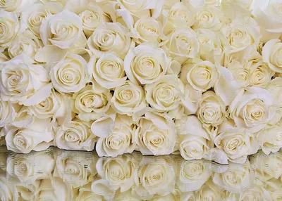 Букет из 25 белых роз в оформлении купить в Краснодаре - Заказать с  доставкой недорого