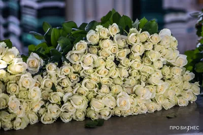 101 кустовая роза микс - купить разноцветный букет роз с доставкой |  Roza4u.ru