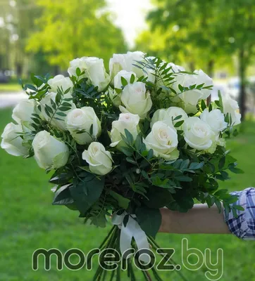 Розы под ленту купить в Москве ✿ Доставка: 0 ₽ при заказе от 3 000 ₽ ✿  Букеты цветов от Venus in Fleurs