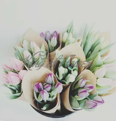 Маленькие букеты из тюльпанов фото фотографии