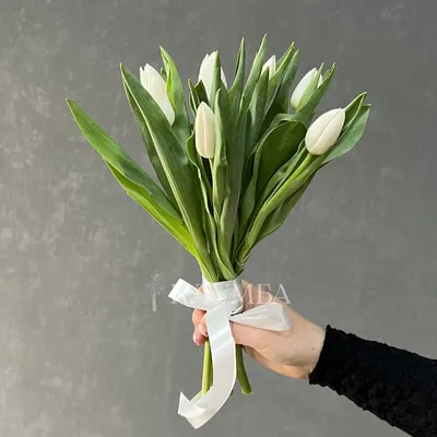 Букет белые тюльпаны 25 с доставкой в Таллине, Эстонии - Roses.ee