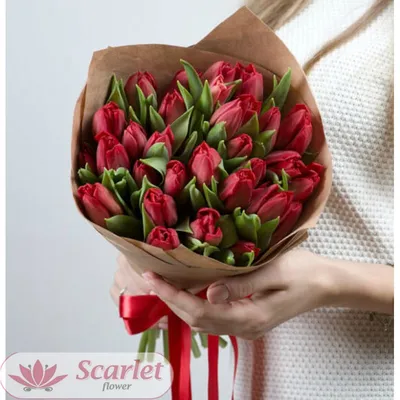 Тюльпаны маленькие непресс 6(42) – Искусственные Цветы Оптом