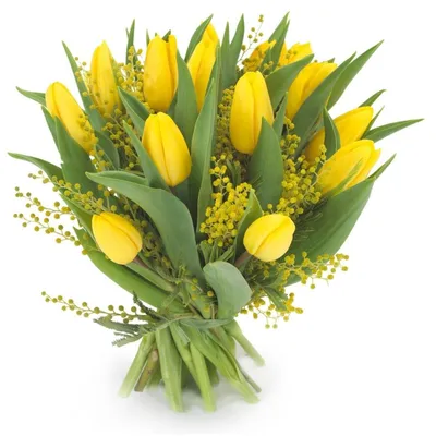 30 шт.! Оптовая продажа, искусственные Тюльпаны из искусственной кожи,  Маленькие искусственные тюльпаны, красивые свадебные декоративные цветы  тюльпанов | AliExpress