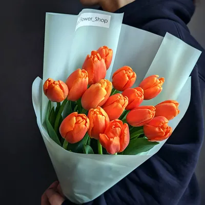 Маленький штрих про тюльпаны | Фанат герани | Дзен