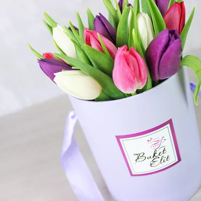 Букет тюльпанов с ирисами \"Хельсинки\" – купить недорого с доставкой по  Москве