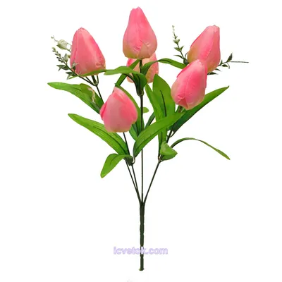 Flora35.ru - СЕКРЕТЫ ТЮЛЬПАНОВ 🌷 Тюльпаны - удивительные цветы. Они  растут, даже когда находятся в букете у вас дома. Если вы купите маленькие  тюльпаны, они у вас долго простоят и вырастут еще