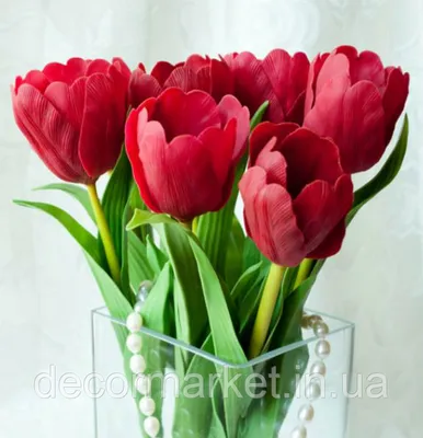 15 Тюльпанов сорта Тайм Аут - купить с доставкой в Иркутске