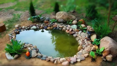 Озерцо, пруд в приусадебном саду и на даче!