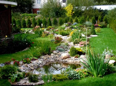 Технология создания садовых прудов — Статьи от интернет-магазина  «Строительный Двор»