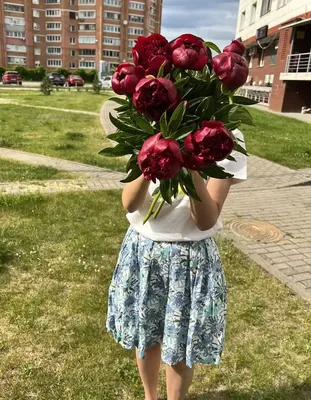 Букет 9 \"Флеминг\" White купить в Москве с доставкой недорого – id 1985 |  Roses Delivery