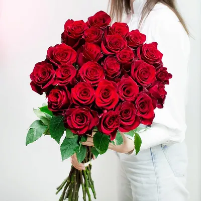 Розовые Эквадорские розы доставка в Красноярске | ФлоРум24